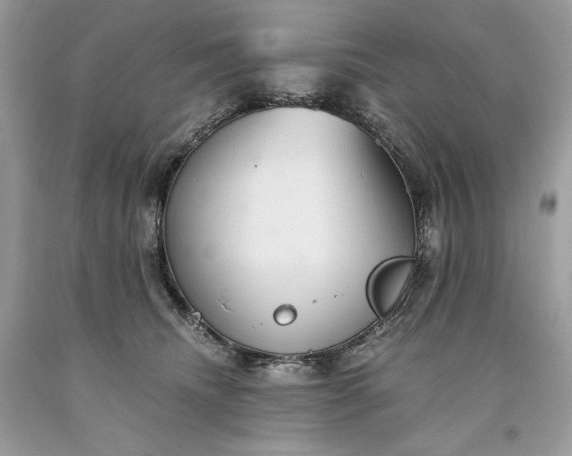 X0000093530468200710261255