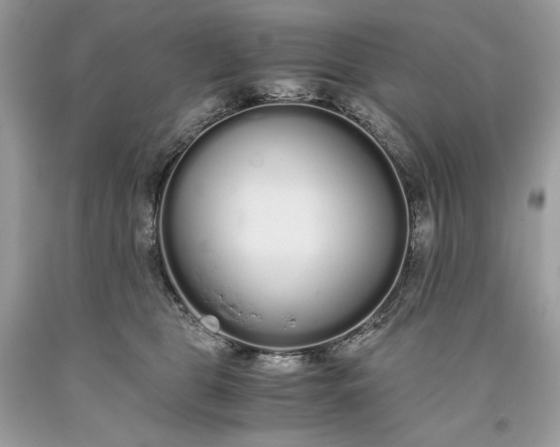 X0000093530469200710261255