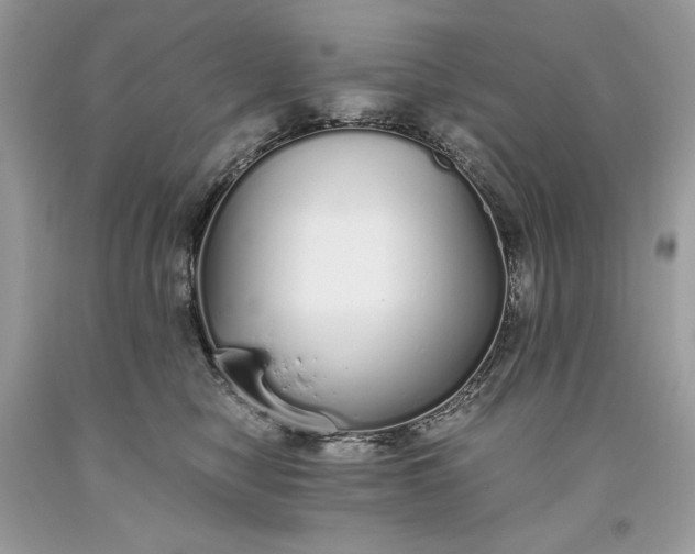 X0000093530470200710261255