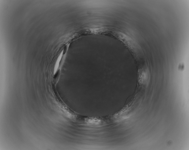 X0000093530471200710261255