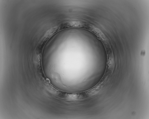 X0000093530473200710261255