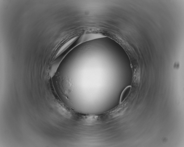 X0000093530474200710261255