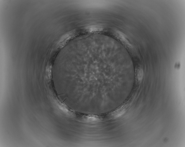 X0000093530475200710261255