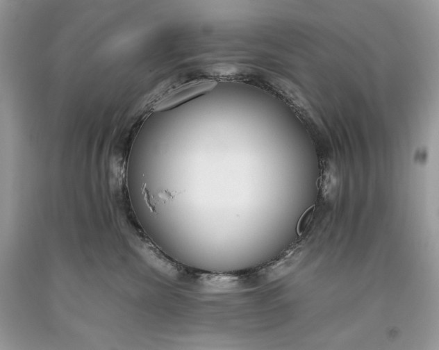 X0000093530476200710261255