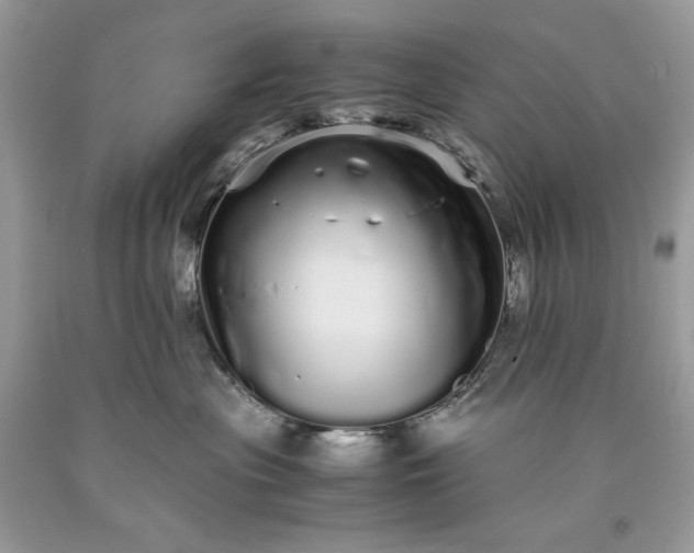 X0000093530477200710261255