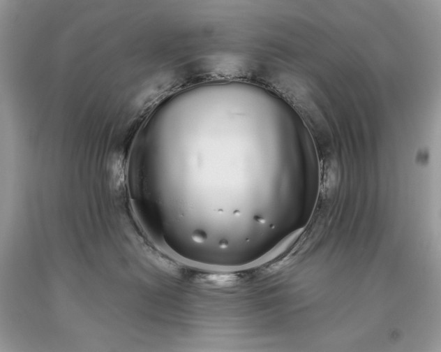 X0000093530478200710261255