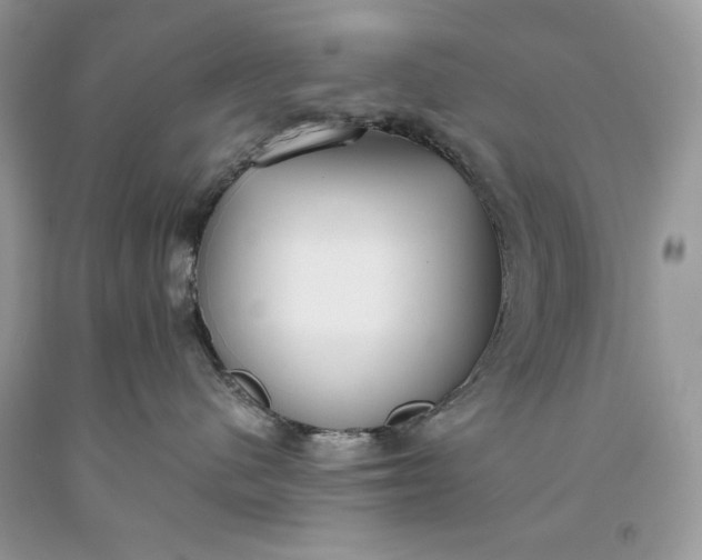 X0000093530480200710261255