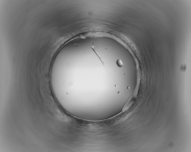 X0000093530481200710261255