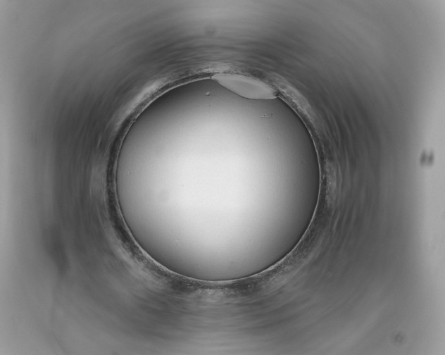 X0000093530482200710261255