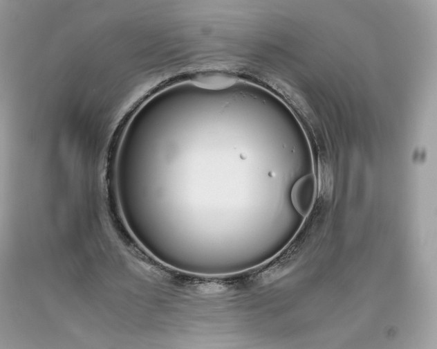 X0000093530483200710261255