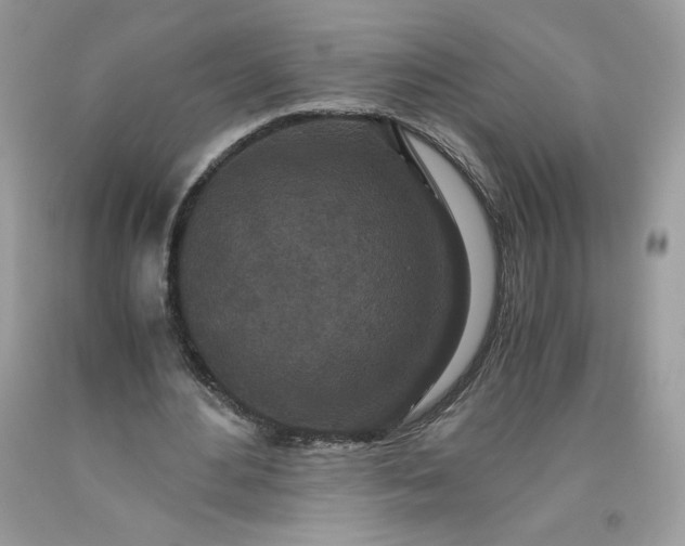 X0000093530484200710261255