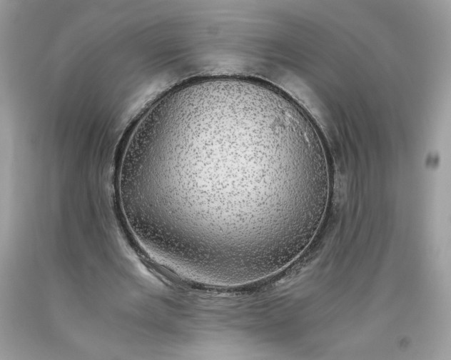 X0000093530485200710261255