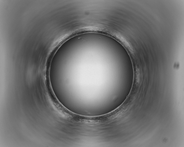 X0000093530486200710261255