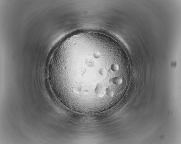 X0000093530487200710261255