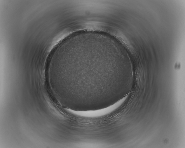 X0000093530488200710261255