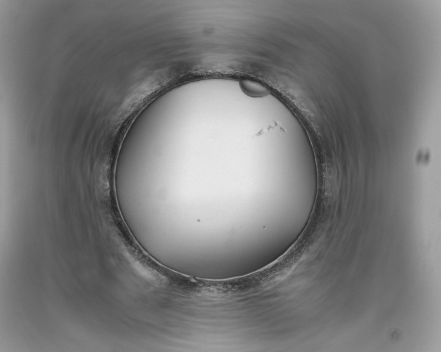 X0000093530489200710261255