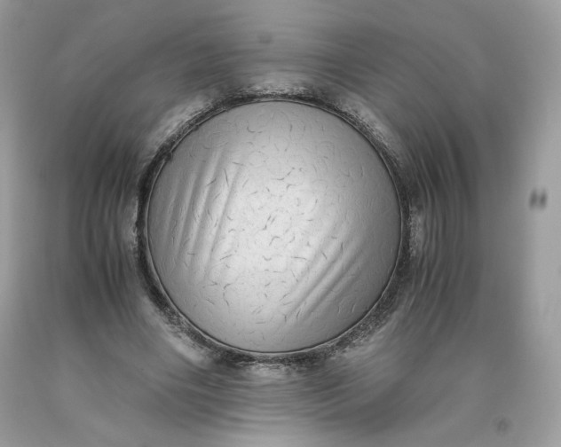 X0000093530490200710261255