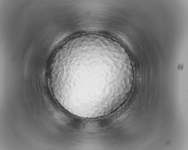 X0000093530491200710261255