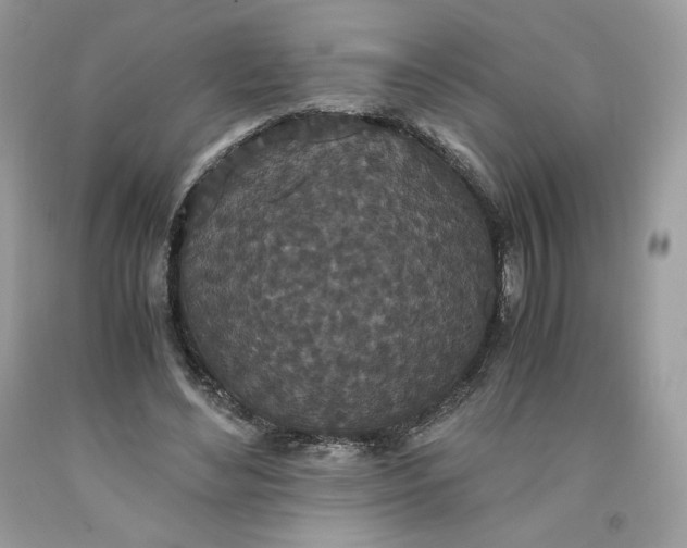 X0000093530492200710261255