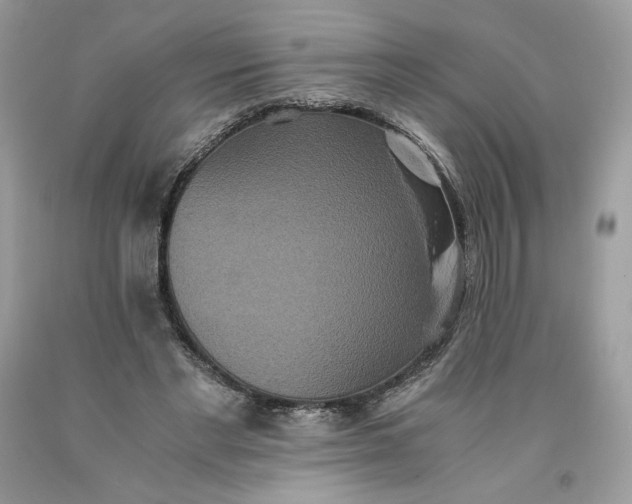 X0000093530493200710261255