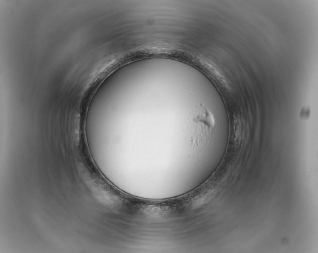 X0000093530494200710261255