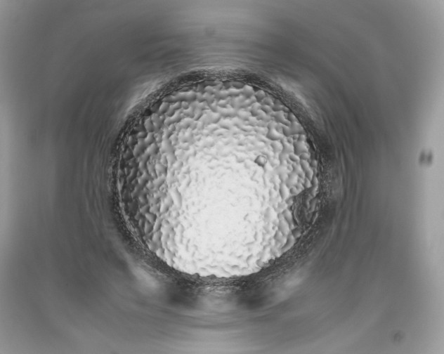 X0000093530495200710261255