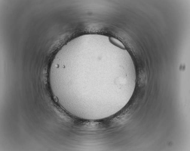 X0000093530497200710261255