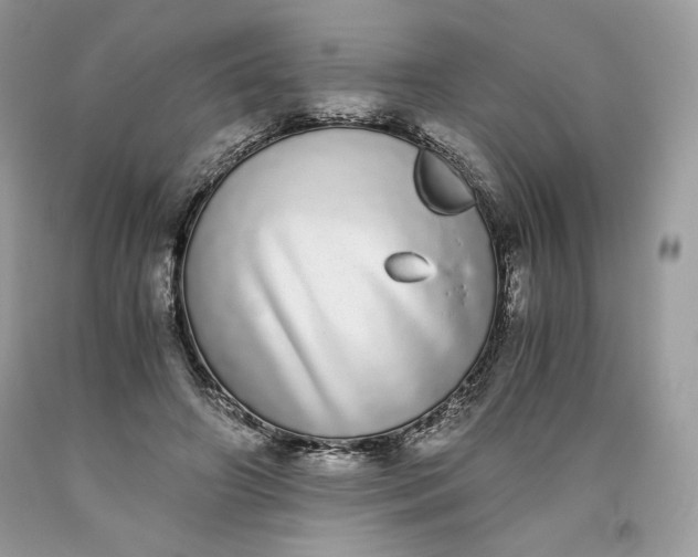 X0000093530498200710261255