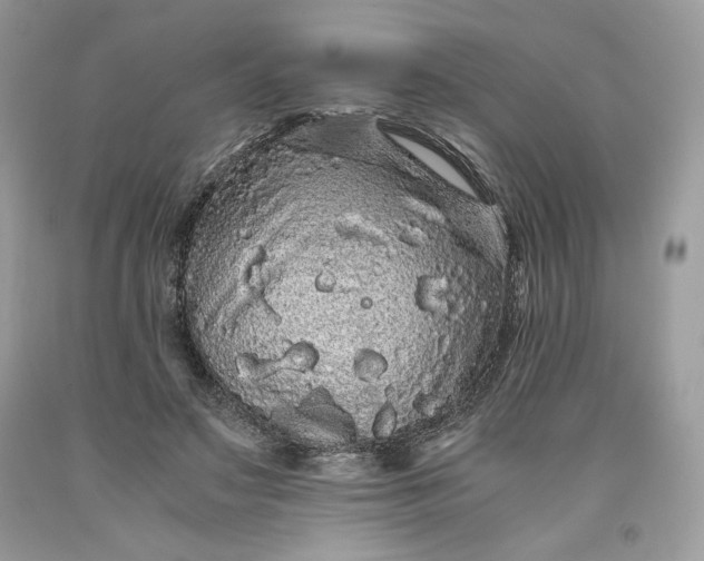 X0000093530499200710261255