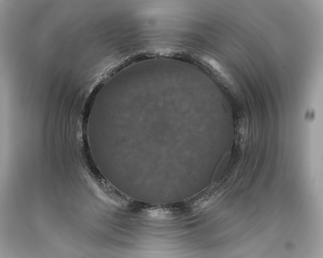 X0000093530500200710261255