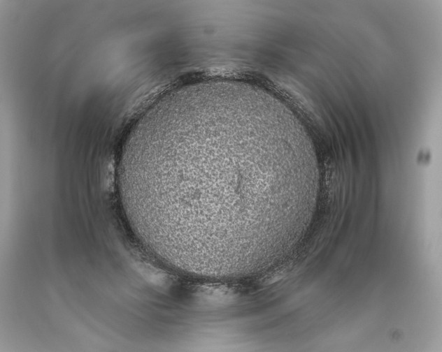 X0000093530502200710261255