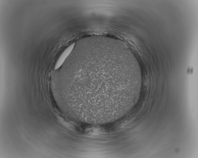 X0000093530503200710261254