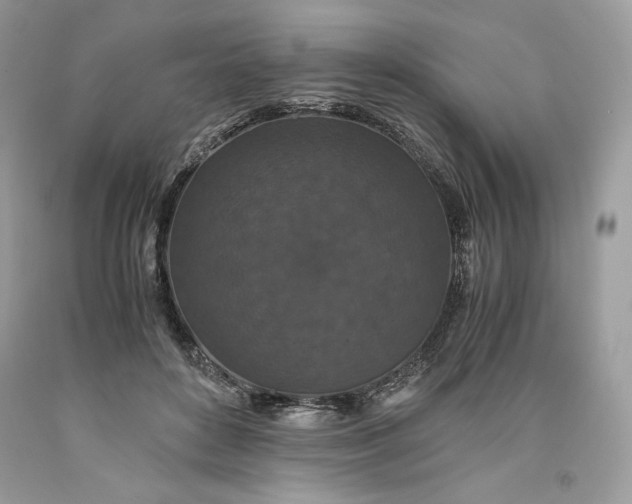 X0000093530504200710261254