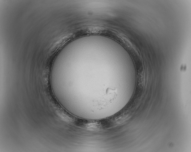 X0000093530505200710261254