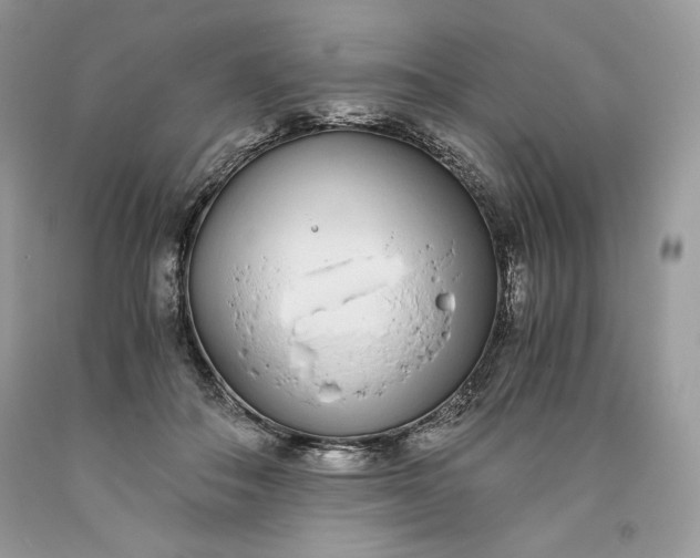 X0000093530506200710261254