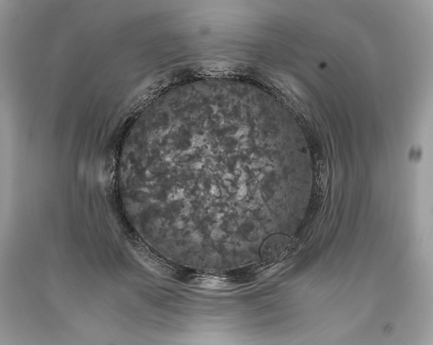 X0000093530507200710261254