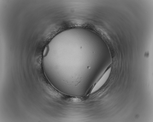 X0000093530509200710261254