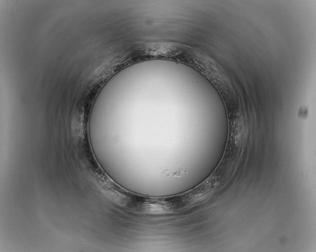 X0000093530510200710261254