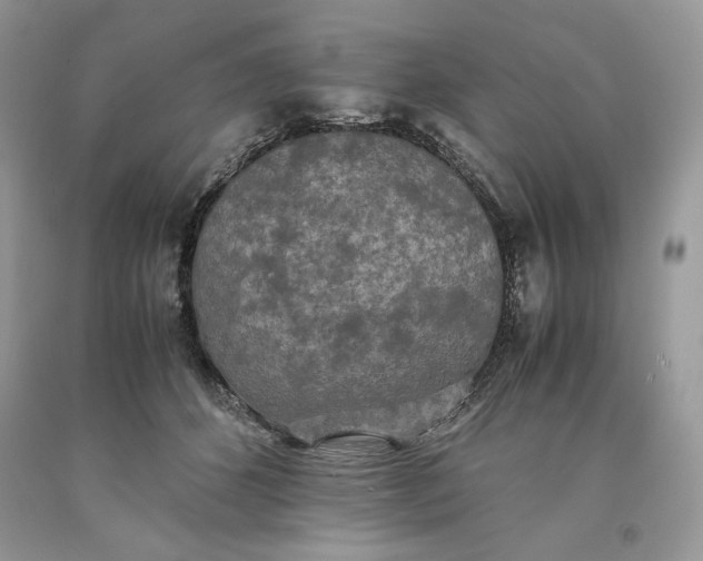 X0000093530512200710261254