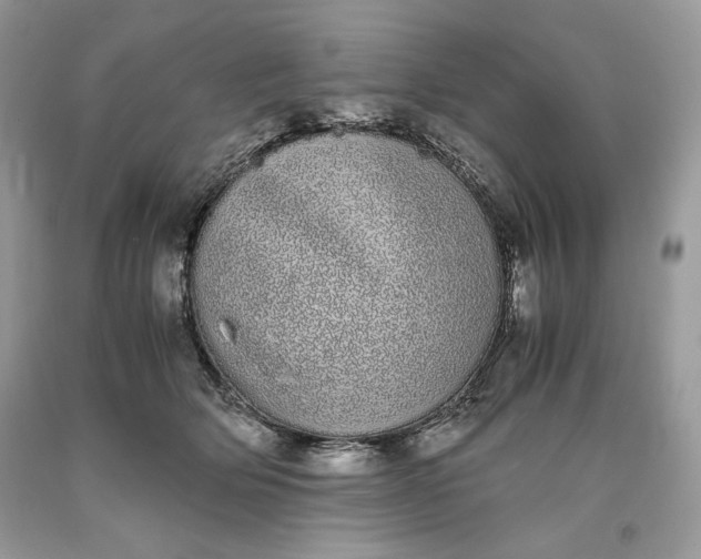 X0000093530514200710261254