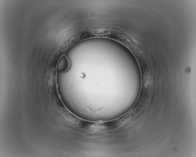 X0000093530515200710261254