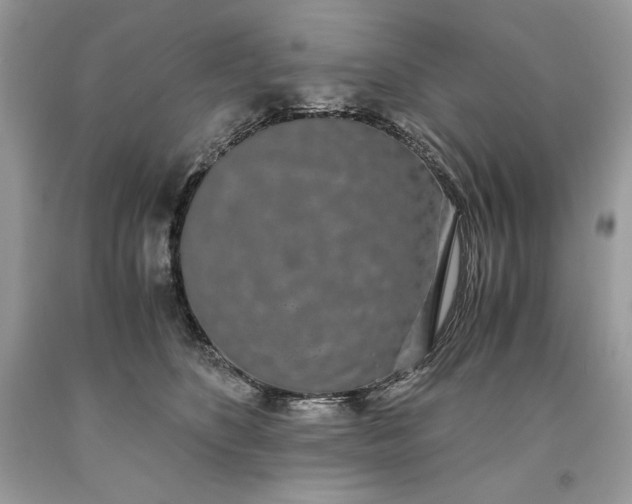 X0000093530516200710261254