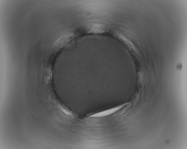 X0000093530517200710261254