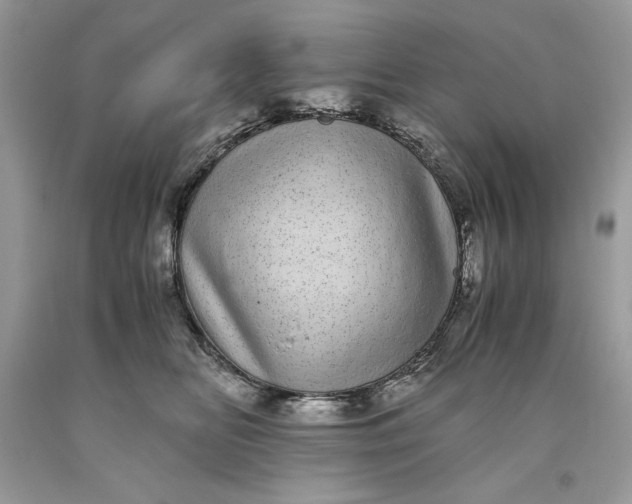 X0000093530518200710261254