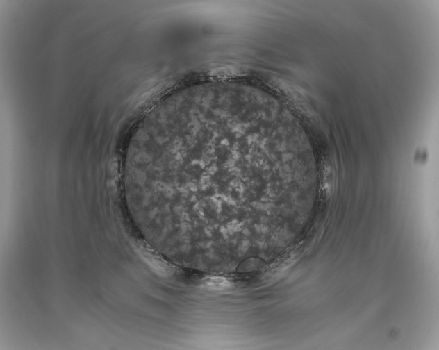 X0000093530519200710261254