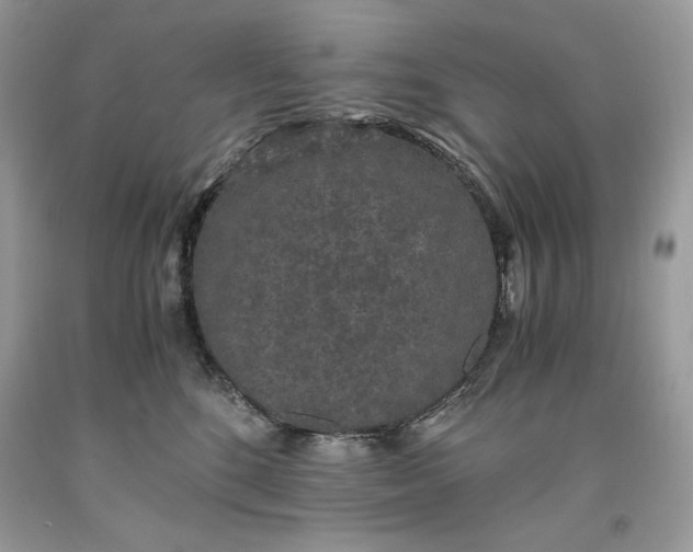 X0000093530520200710261254