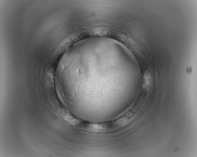 X0000093530522200710261254