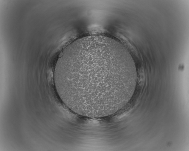 X0000093530523200710261254