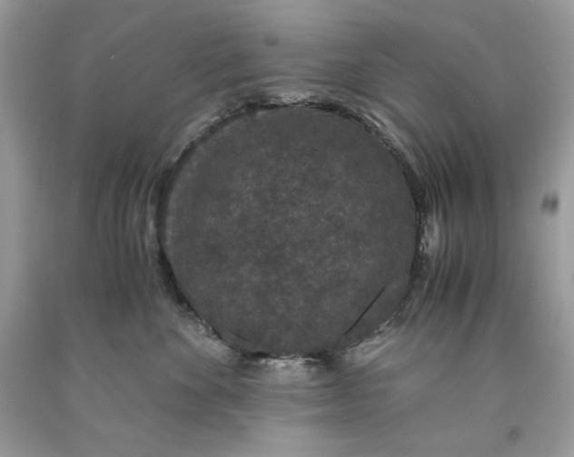 X0000093530524200710261254