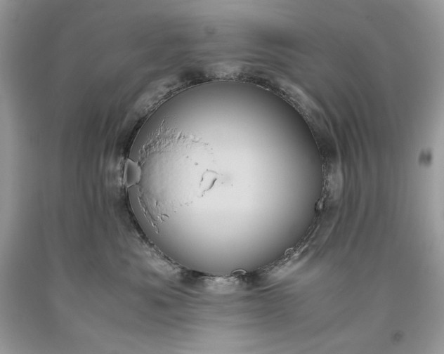 X0000093530525200710261254